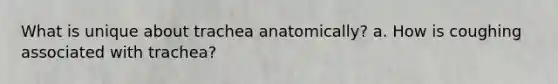 What is unique about trachea anatomically? a. How is coughing associated with trachea?