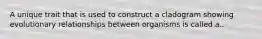 A unique trait that is used to construct a cladogram showing evolutionary relationships between organisms is called a..