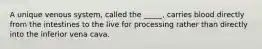 A unique venous system, called the _____, carries blood directly from the intestines to the live for processing rather than directly into the inferior vena cava.