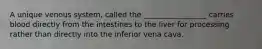 A unique venous system, called the _________________ carries blood directly from the intestines to the liver for processing rather than directly into the inferior vena cava.