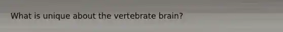What is unique about the vertebrate brain?