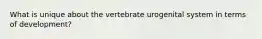 What is unique about the vertebrate urogenital system in terms of development?