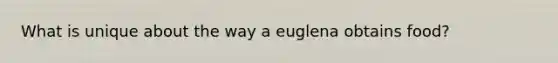 What is unique about the way a euglena obtains food?