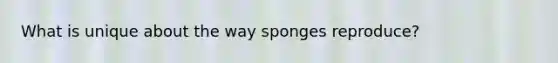 What is unique about the way sponges reproduce?