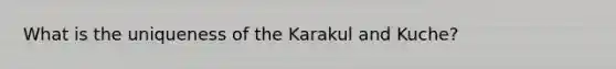 What is the uniqueness of the Karakul and Kuche?