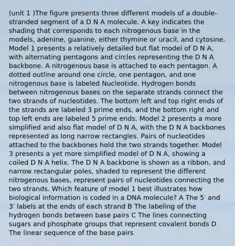 (unit 1 )The figure presents three different models of a double-stranded segment of a D N A molecule. A key indicates the shading that corresponds to each nitrogenous base in the models, adenine, guanine, either thymine or uracil, and cytosine. Model 1 presents a relatively detailed but flat model of D N A, with alternating pentagons and circles representing the D N A backbone. A nitrogenous base is attached to each pentagon. A dotted outline around one circle, one pentagon, and one nitrogenous base is labeled Nucleotide. Hydrogen bonds between nitrogenous bases on the separate strands connect the two strands of nucleotides. The bottom left and top right ends of the strands are labeled 3 prime ends, and the bottom right and top left ends are labeled 5 prime ends. Model 2 presents a more simplified and also flat model of D N A, with the D N A backbones represented as long narrow rectangles. Pairs of nucleotides attached to the backbones hold the two strands together. Model 3 presents a yet more simplified model of D N A, showing a coiled D N A helix. The D N A backbone is shown as a ribbon, and narrow rectangular poles, shaded to represent the different nitrogenous bases, represent pairs of nucleotides connecting the two strands. Which feature of model 1 best illustrates how biological information is coded in a DNA molecule? A The 5′ and 3′ labels at the ends of each strand B The labeling of the hydrogen bonds between base pairs C The lines connecting sugars and phosphate groups that represent covalent bonds D The linear sequence of the base pairs