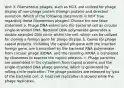 Unit 3: Filamentous phages, such as M13, are utilized for phage display of non-phage protein (foreign protein) and directed evolution. Which of the following statements in NOT true regarding these filamentous phages? Choose the one false statement a. Phage DNA enters into the bacterial cell as circular single-stranded DNA. Bacterial DNA polymerase generates a double-stranded DNA circle within the cell, which can be utilized for cloning a foreign gene for phage display. b. Genes for phage capsid proteins, including the capsid pIII gene with the inserted foreign gene, are transcribed by the bacterial RNA polymerase from circular phage dsDNA, and the resulting mRNA is translated by ribosomes to express the capsid proteins. c. Phage particles are assembled in the cytoplasm from capsid proteins and the single-stranded DNA phage genome, which is generated by rolling-circle replication. The phage particles are released by lysis of the bacterial cell. d. Host cell replication is slowed while the phage replicates.