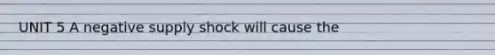 UNIT 5 A negative supply shock will cause the