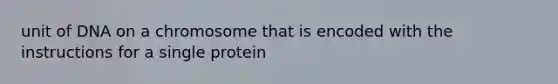 unit of DNA on a chromosome that is encoded with the instructions for a single protein