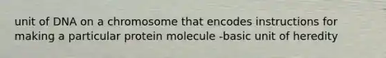 unit of DNA on a chromosome that encodes instructions for making a particular protein molecule -basic unit of heredity