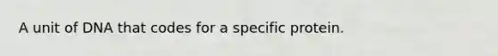 A unit of DNA that codes for a specific protein.