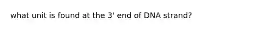 what unit is found at the 3' end of DNA strand?