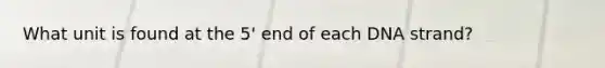 What unit is found at the 5' end of each DNA strand?