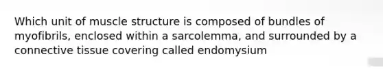 Which unit of muscle structure is composed of bundles of myofibrils, enclosed within a sarcolemma, and surrounded by a connective tissue covering called endomysium