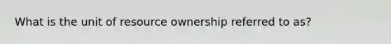 What is the unit of resource ownership referred to as?