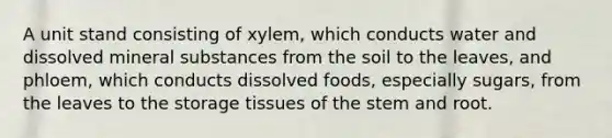 A unit stand consisting of xylem, which conducts water and dissolved mineral substances from the soil to the leaves, and phloem, which conducts dissolved foods, especially sugars, from the leaves to the storage tissues of the stem and root.