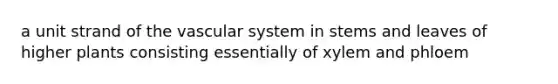 a unit strand of the vascular system in stems and leaves of higher plants consisting essentially of xylem and phloem