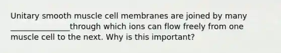 Unitary smooth muscle cell membranes are joined by many _______________through which ions can flow freely from one muscle cell to the next. Why is this important?