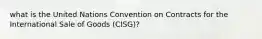 what is the United Nations Convention on Contracts for the International Sale of Goods (CISG)?