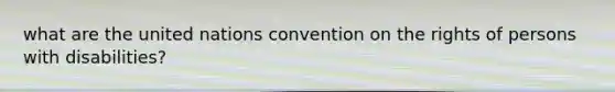 what are the united nations convention on the rights of persons with disabilities?