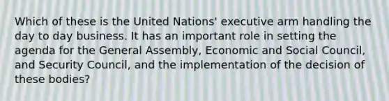 Which of these is the United Nations' executive arm handling the day to day business. It has an important role in setting the agenda for the General Assembly, Economic and Social Council, and Security Council, and the implementation of the decision of these bodies?