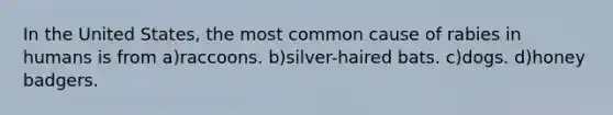 In the United States, the most common cause of rabies in humans is from a)raccoons. b)silver-haired bats. c)dogs. d)honey badgers.