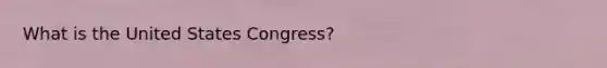 What is the United States Congress?