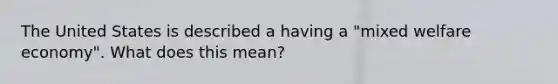 The United States is described a having a "mixed welfare economy". What does this mean?