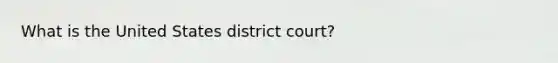 What is the United States district court?