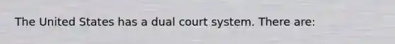 The United States has a dual court system. There are: