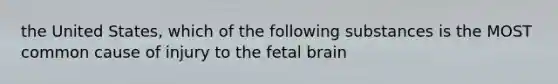 the United States, which of the following substances is the MOST common cause of injury to the fetal brain