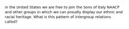 in the United States we are free to join the Sons of Italy NAACP and other groups in which we can proudly display our ethnic and racial heritage. What is this pattern of intergroup relations called?