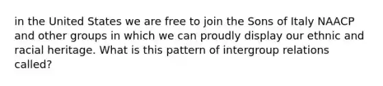 in the United States we are free to join the Sons of Italy NAACP and other groups in which we can proudly display our ethnic and racial heritage. What is this pattern of intergroup relations called?