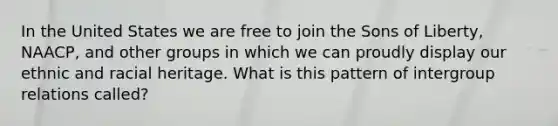 In the United States we are free to join the Sons of Liberty, NAACP, and other groups in which we can proudly display our ethnic and racial heritage. What is this pattern of intergroup relations called?