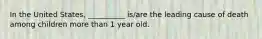 In the United States, __________ is/are the leading cause of death among children more than 1 year old.