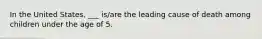 In the United States, ___ is/are the leading cause of death among children under the age of 5.