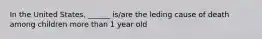 In the United States, ______ is/are the leding cause of death among children more than 1 year old