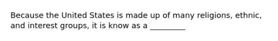 Because the United States is made up of many religions, ethnic, and interest groups, it is know as a _________