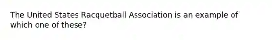 The United States Racquetball Association is an example of which one of these?