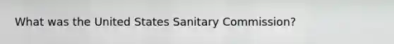 What was the United States Sanitary Commission?