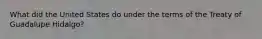 What did the United States do under the terms of the Treaty of Guadalupe Hidalgo?