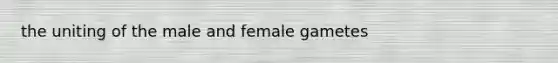 the uniting of the male and female gametes