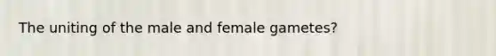 The uniting of the male and female gametes?