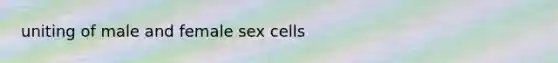 uniting of male and female sex cells