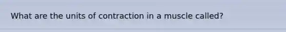 What are the units of contraction in a muscle called?