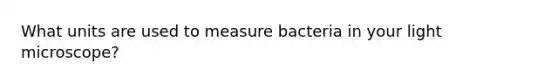 What units are used to measure bacteria in your light microscope?