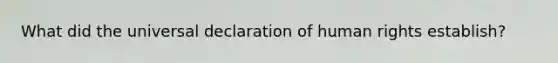 What did the universal declaration of human rights establish?