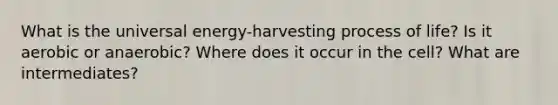 What is the universal energy-harvesting process of life? Is it aerobic or anaerobic? Where does it occur in the cell? What are intermediates?