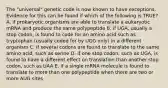 The "universal" genetic code is now known to have exceptions. Evidence for this can be found if which of the following is TRUE? A. if prokaryotic organisms are able to translate a eukaryotic mRNA and produce the same polypeptide B. if UGA, usually a stop codon, is found to code for an amino acid such as tryptophan (usually coded for by UGG only) in a different organism C. if several codons are found to translate to the same amino acid, such as serine D. if one stop codon, such as UGA, is found to have a different effect on translation than another stop codon, such as UAA E. if a single mRNA molecule is found to translate to more than one polypeptide when there are two or more AUG sites