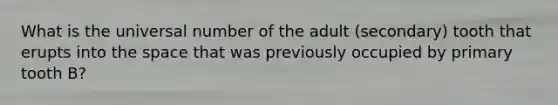 What is the universal number of the adult (secondary) tooth that erupts into the space that was previously occupied by primary tooth B?